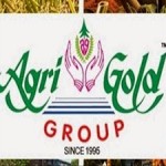 Agrigold targeted by TDP for Real Estate