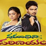 Varudhini Parinayam Serial