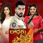 image_2023_04_24T15_38_16_935Z