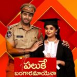 Paluke Bangaramayena Daily Serial