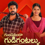 image_2023-10-04_153716423