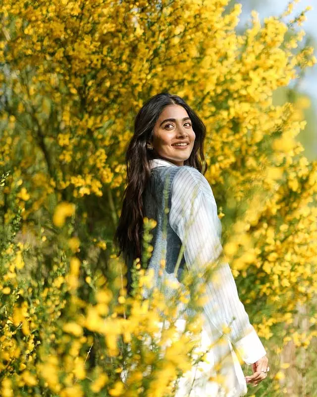 Pooja Hegde Album