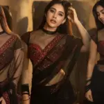 Nabha Natesh Stuns in Transparent Saree Look