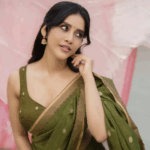 Nabha Natesh Stunning in Transparent Saree