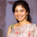 Industry Backs Sai Pallavi Amid Ramayana Casting Debate